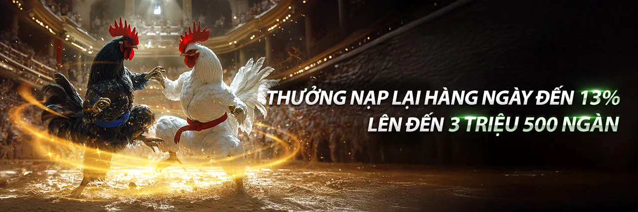 Đá gà trực tuyến 286bet chính thức