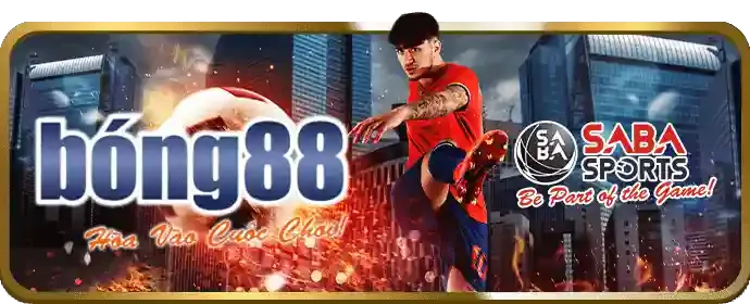 Cá cược thể thao tại 286bet