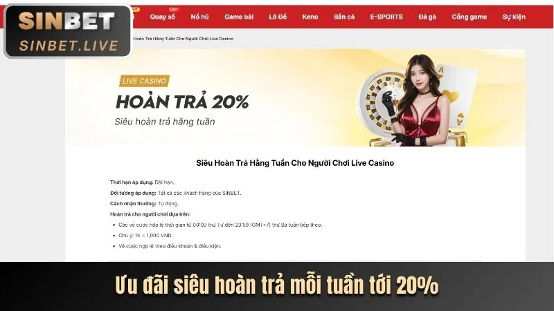 Tổng quan nền tảng casino 286bet chính thức